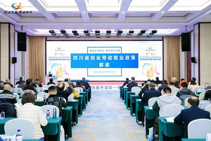 创业孵化器：引领创新的温暖摇篮